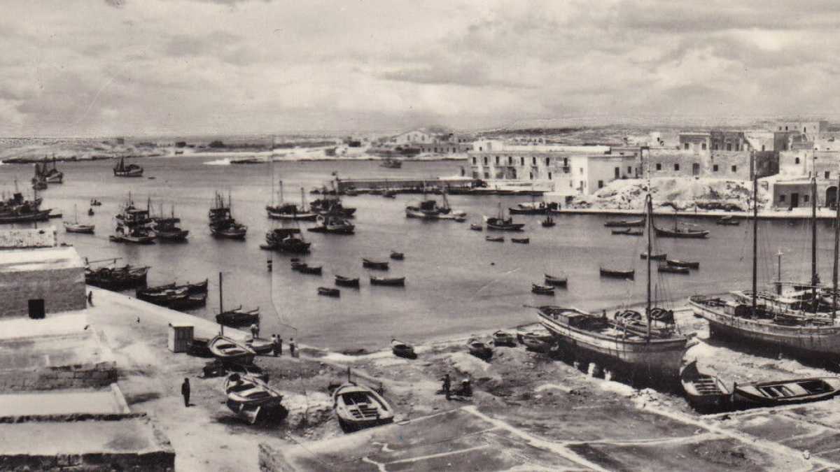 Immagine di Quando a Lampedusa si prediligeva la carne dei gatti, dei cani, dei topi