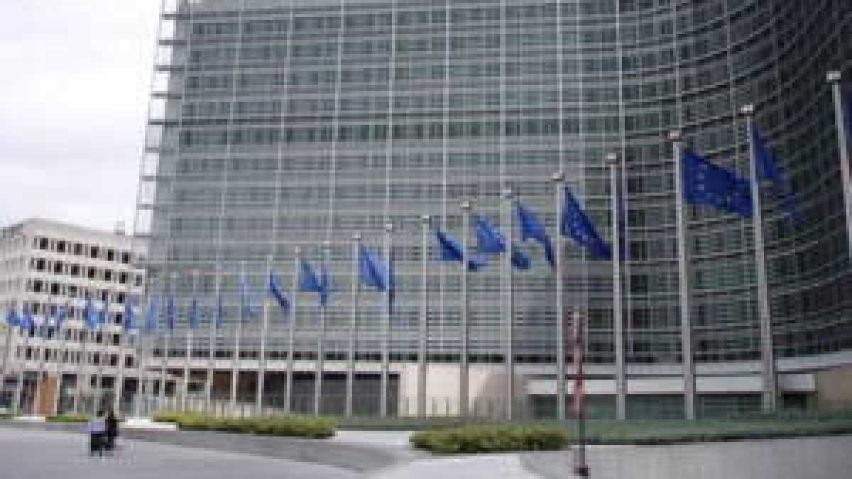 Immagine di Eurocalvinismo da rovesciare