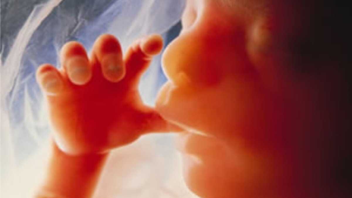 Immagine di La Clinton parla di "persone non nate" e fa imbufalire le associazioni pro choice
