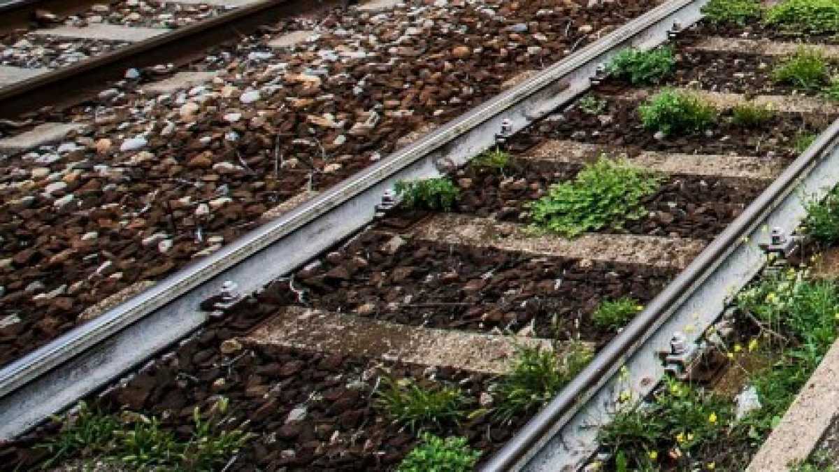 Immagine di Una speranza nella tragedia dei due anziani travolti da un treno