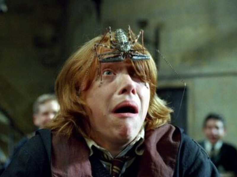 Un'immagine tratta da Harry Potter 
