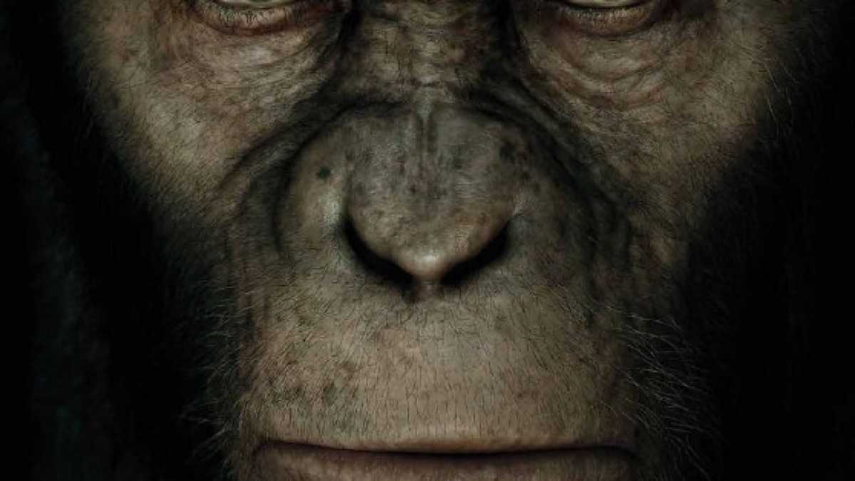 Immagine di L'ALBA DEL PIANETA DELLE SCIMMIE