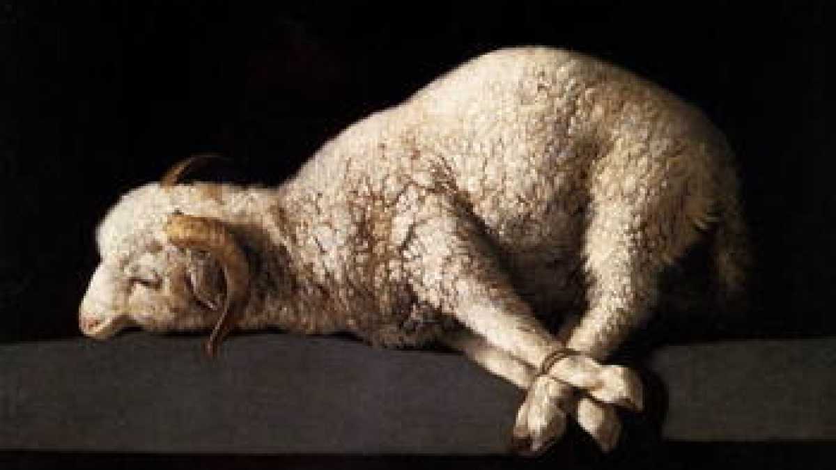 Immagine di Qui si eleva un inno alla sacralità degli animali
