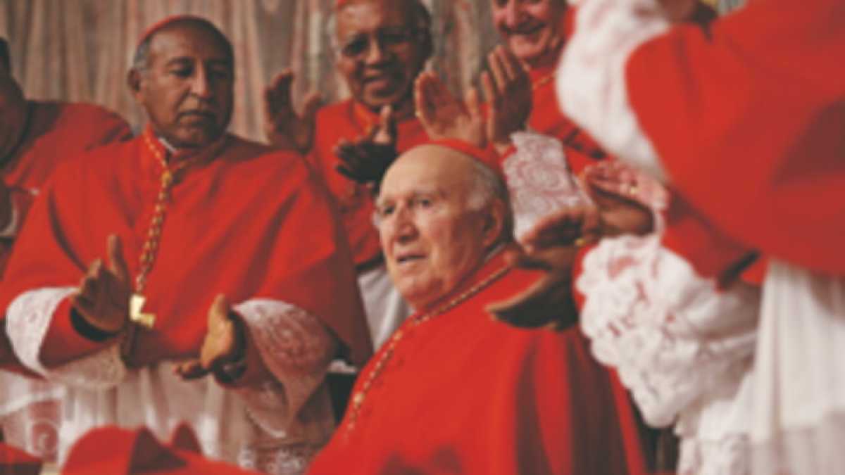 Immagine di Cardinal holidays