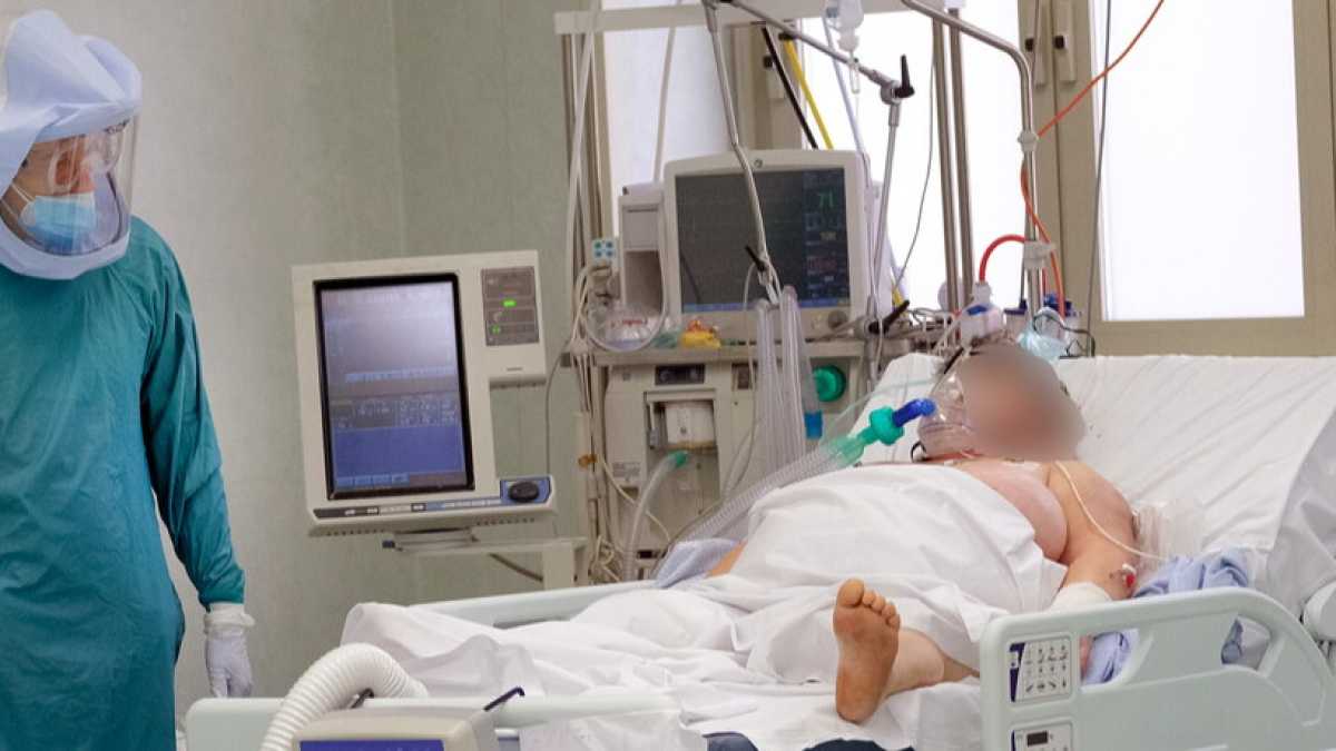 Immagine di Notizia anti catastrofisti. Il Covid si sconfigge anche senza anticorpi