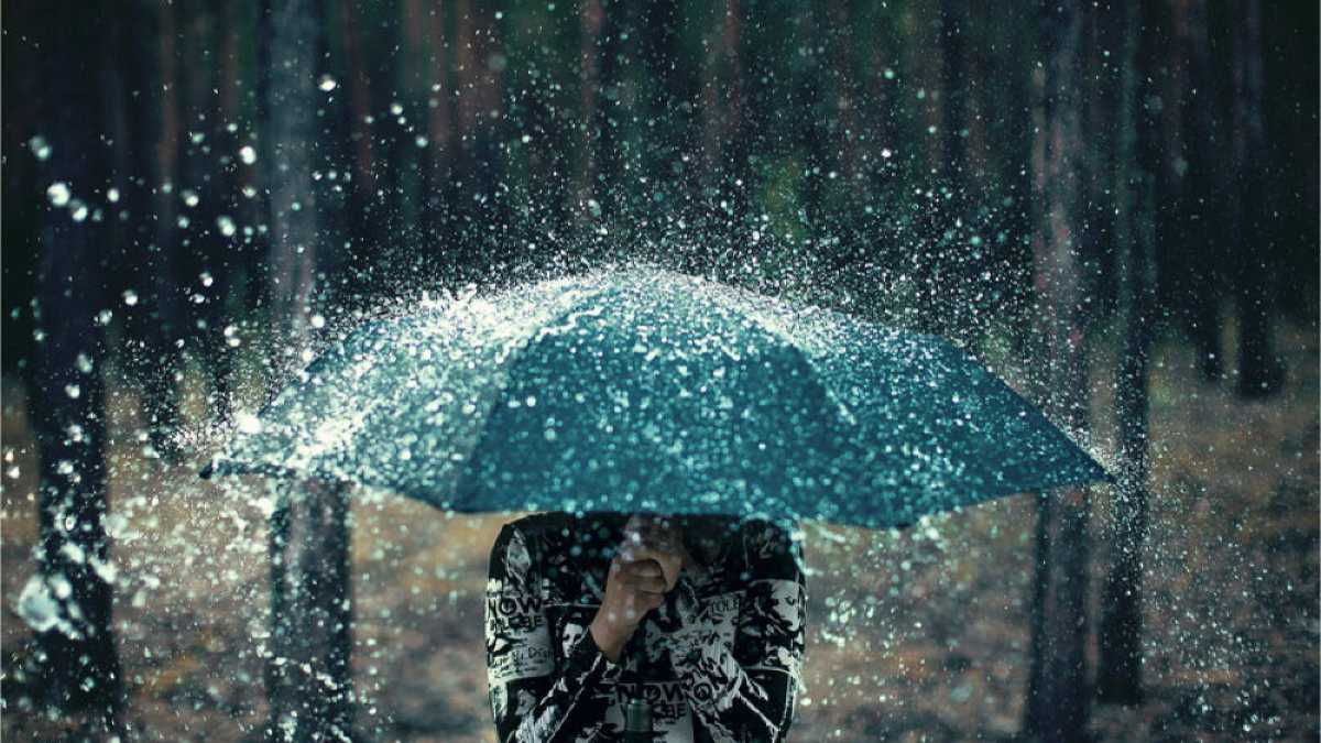 Immagine di La pioggia lungo la foce del fiume Irminio