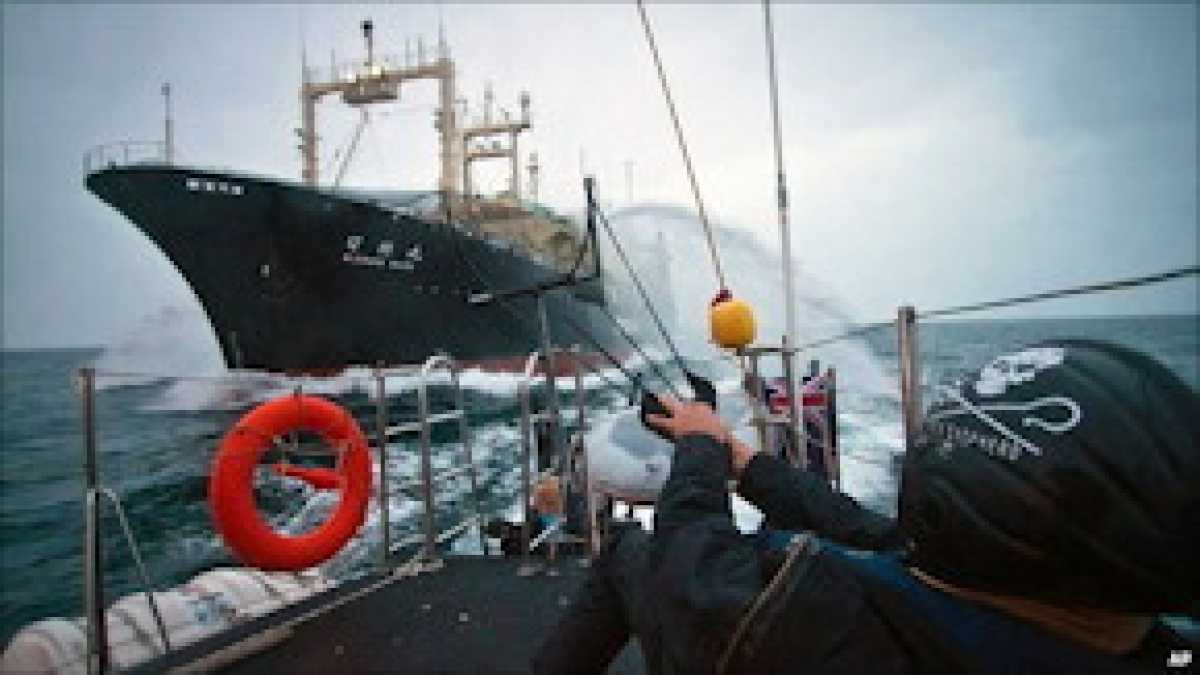 Immagine di Privatizzare le balene