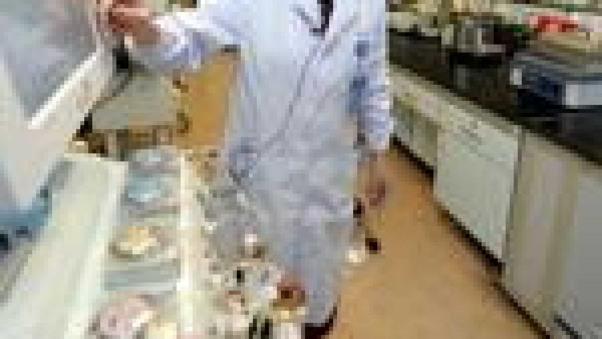 Immagine di Arriva la batteria che si mangia, è fatta di melanina