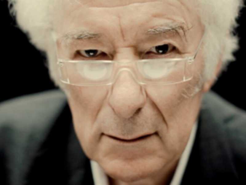 Séamus Heaney e quel ghiaccio da affrontare col bastone di un padre