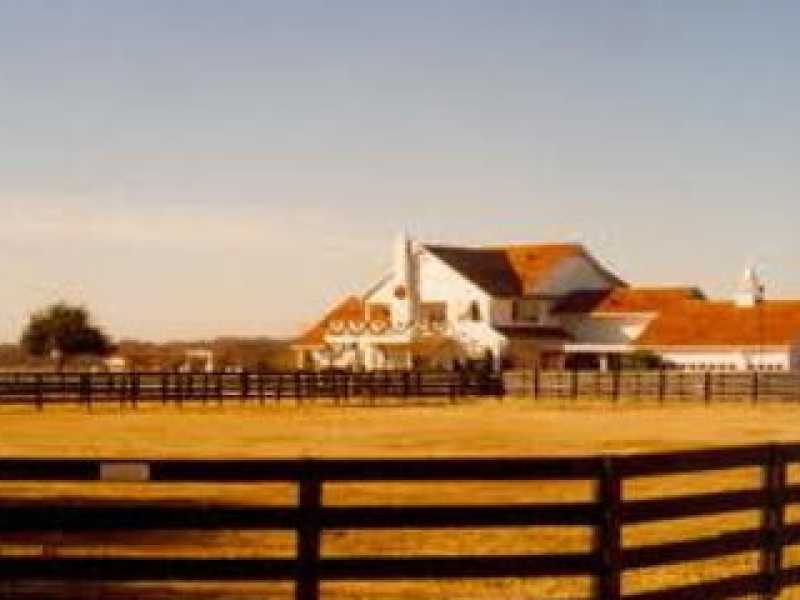 Ranch e libertà
