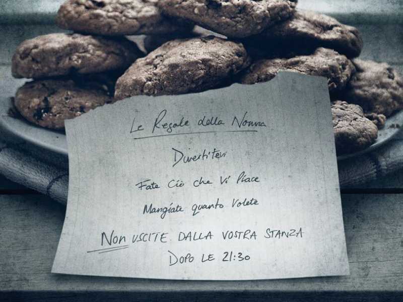THE VISIT