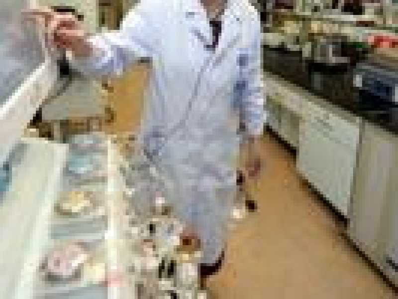 Arriva la batteria che si mangia, è fatta di melanina