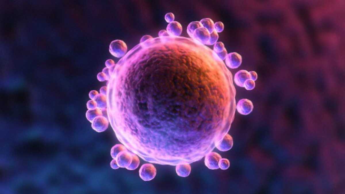 Immagine di Tre genitori e un bambino in vitro