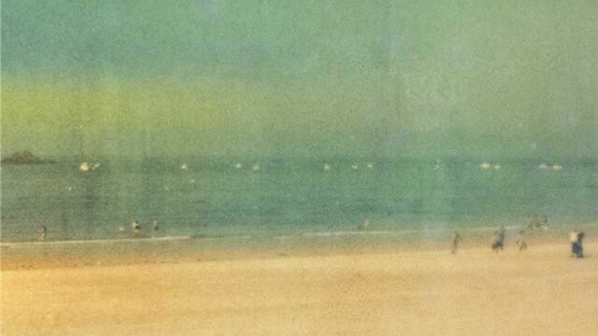 Immagine di L'estate dell'amicizia