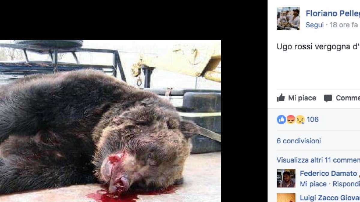 Immagine di Perché molti cuochi italiani ci vogliono morti?