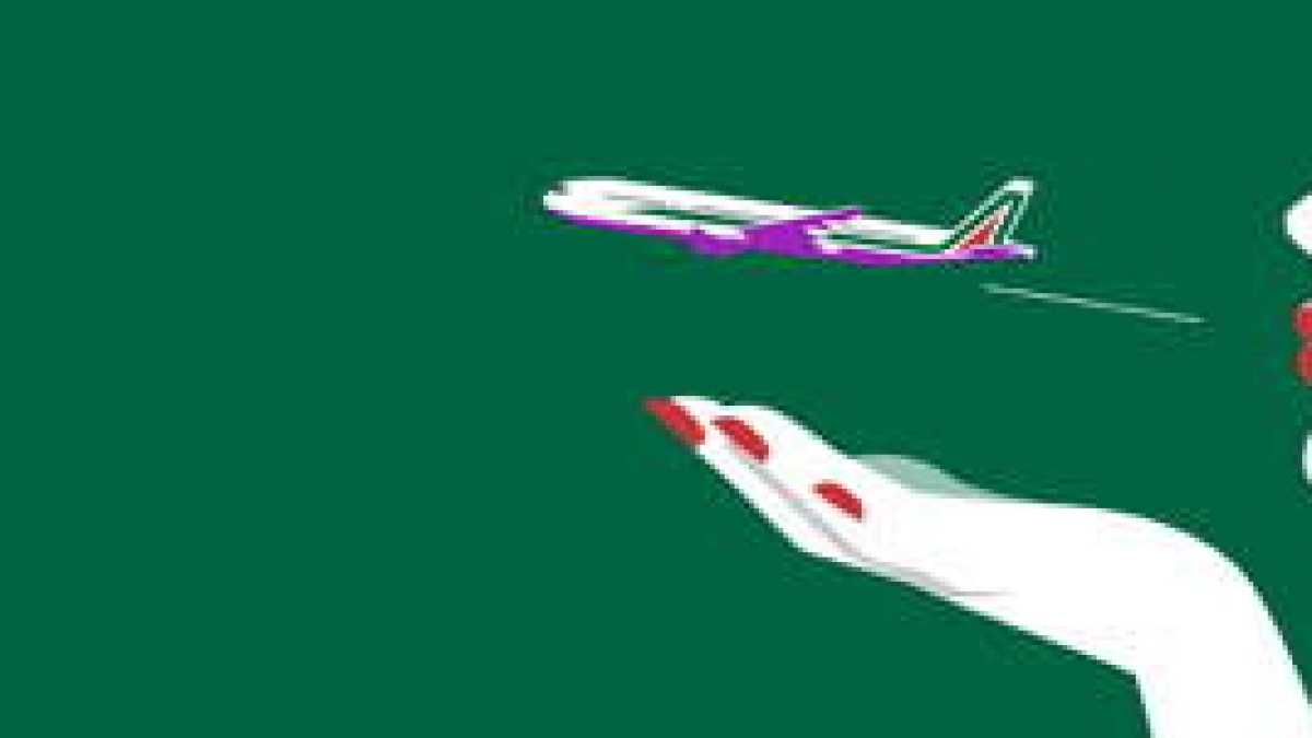 Immagine di Alitalia: operazione tracollo