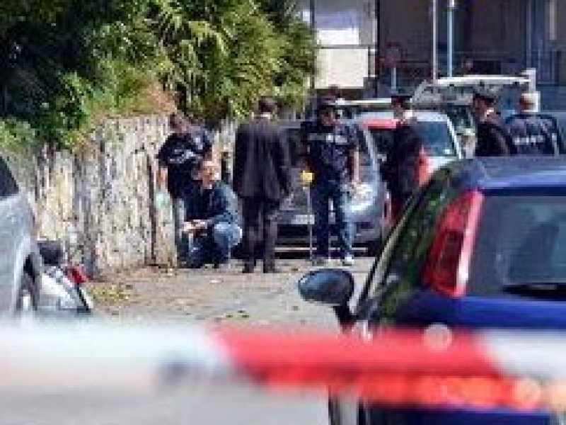 Due cani sciolti a Genova