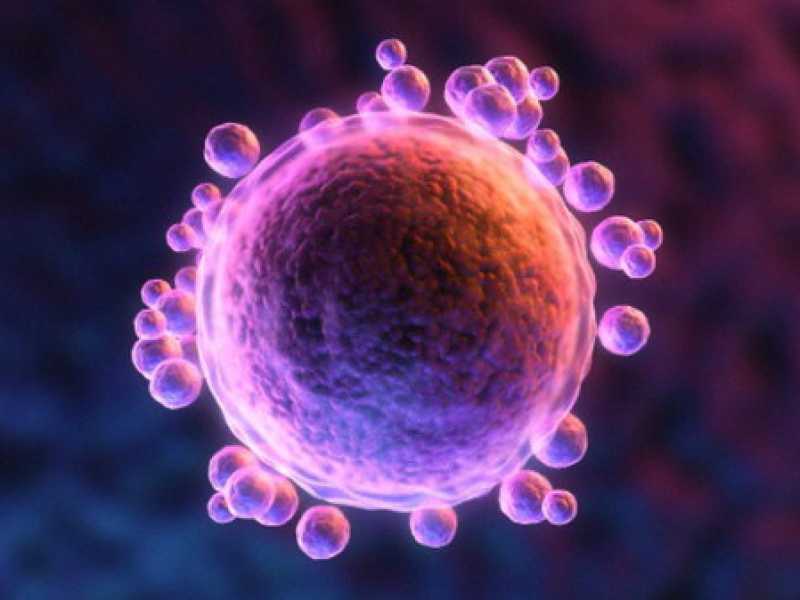 Tre genitori e un bambino in vitro