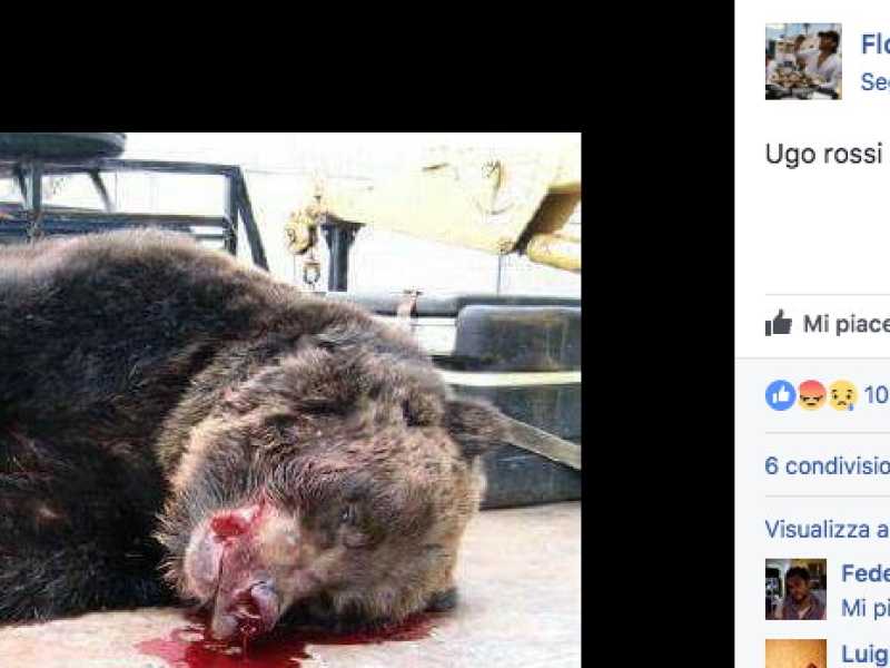 Perché molti cuochi italiani ci vogliono morti?