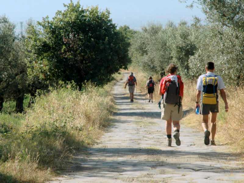 Escursionisti lungo la via Francigena (foto LaPresse)