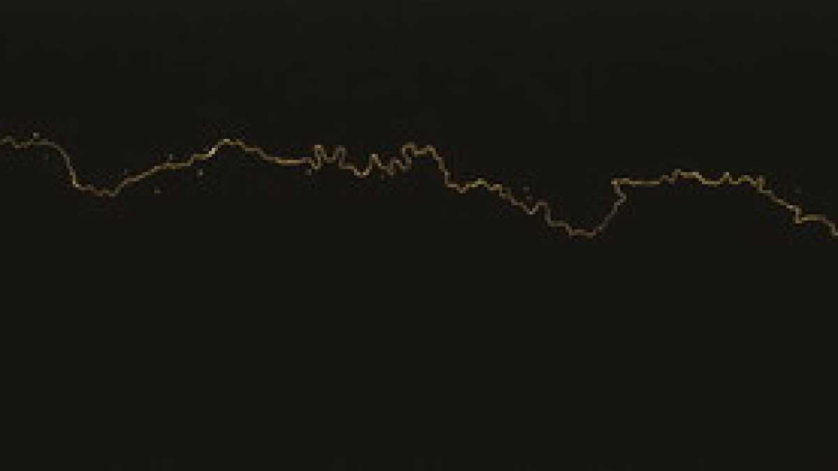 Immagine di Splenda a Massimiliano Galliani l’oro perpetuo