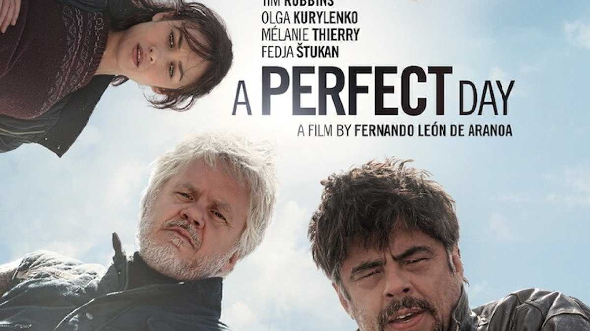 Immagine di PERFECT DAY