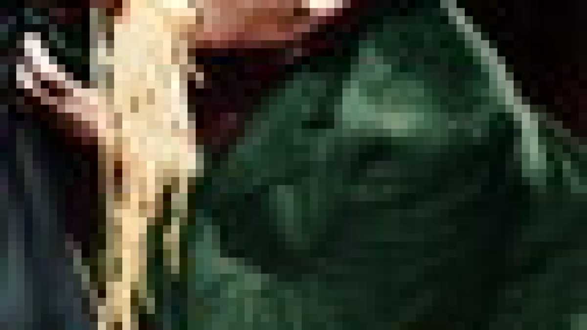 Immagine di Pauperopoli