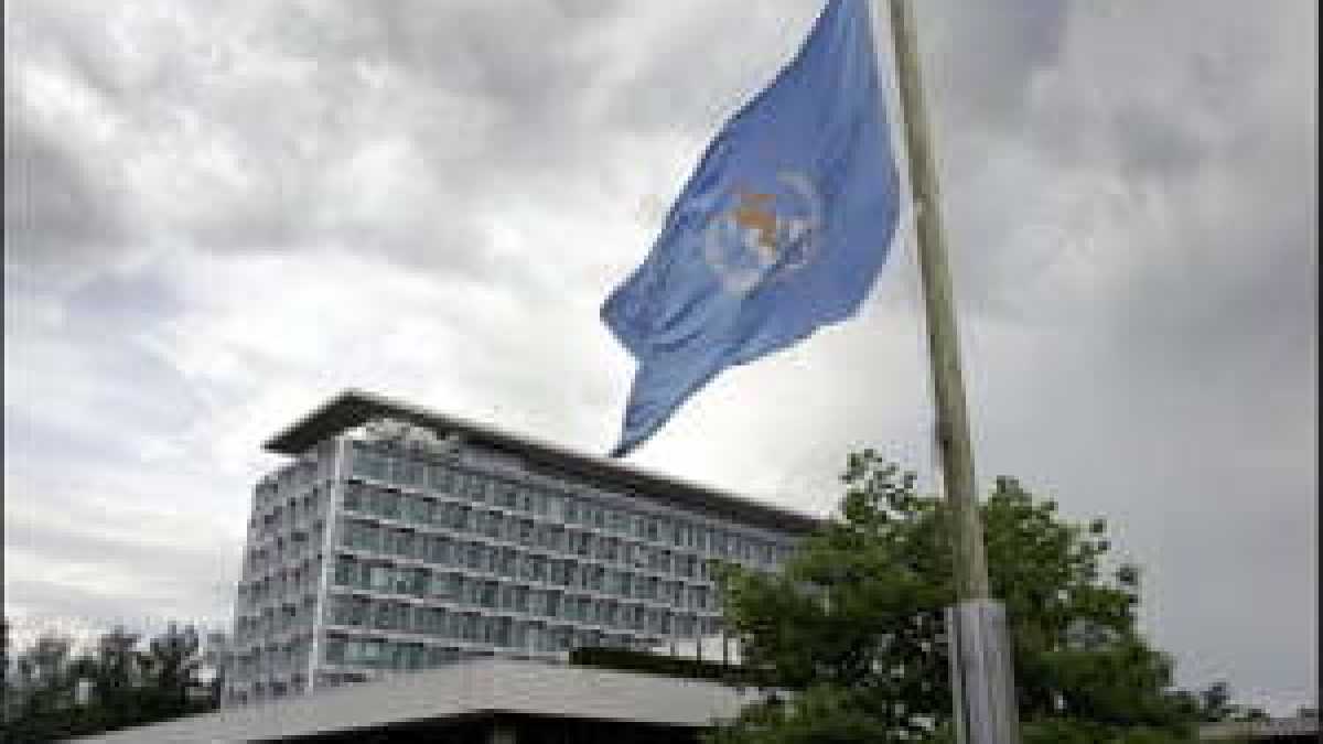 Immagine di L’Onu inventa il “diritto al condom”