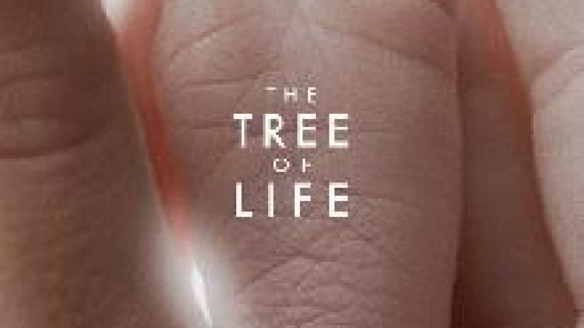 Immagine di THE TREE OF LIFE