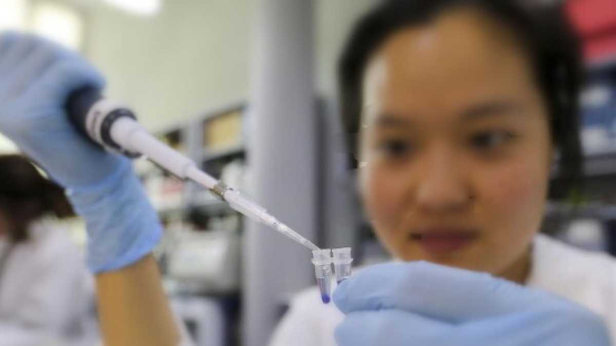 Immagine di Con la scusa di cancellare le malattie la genetica ci omologherà tutti