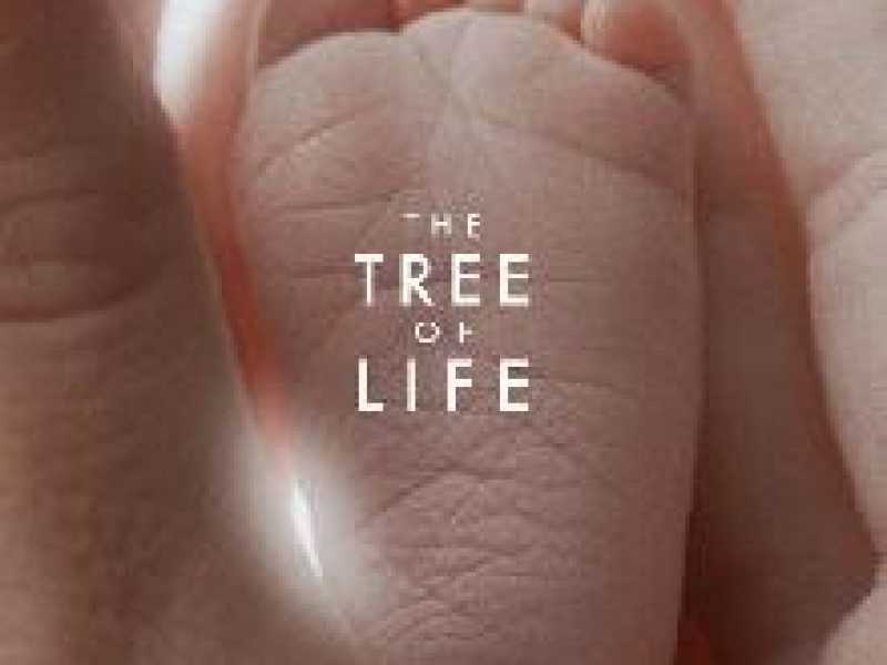 THE TREE OF LIFE