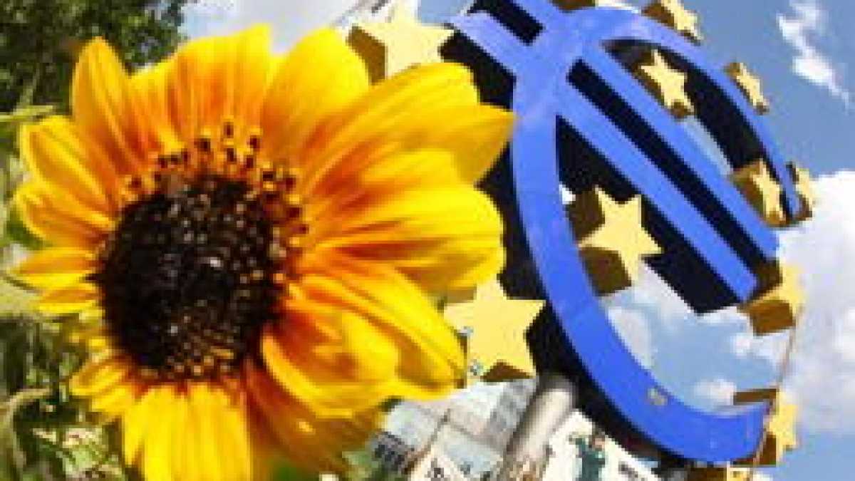 Immagine di L’Eurozona riemerge da una lunga recessione meglio del previsto