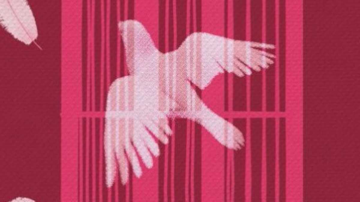 Immagine di L'ospite d'onore
