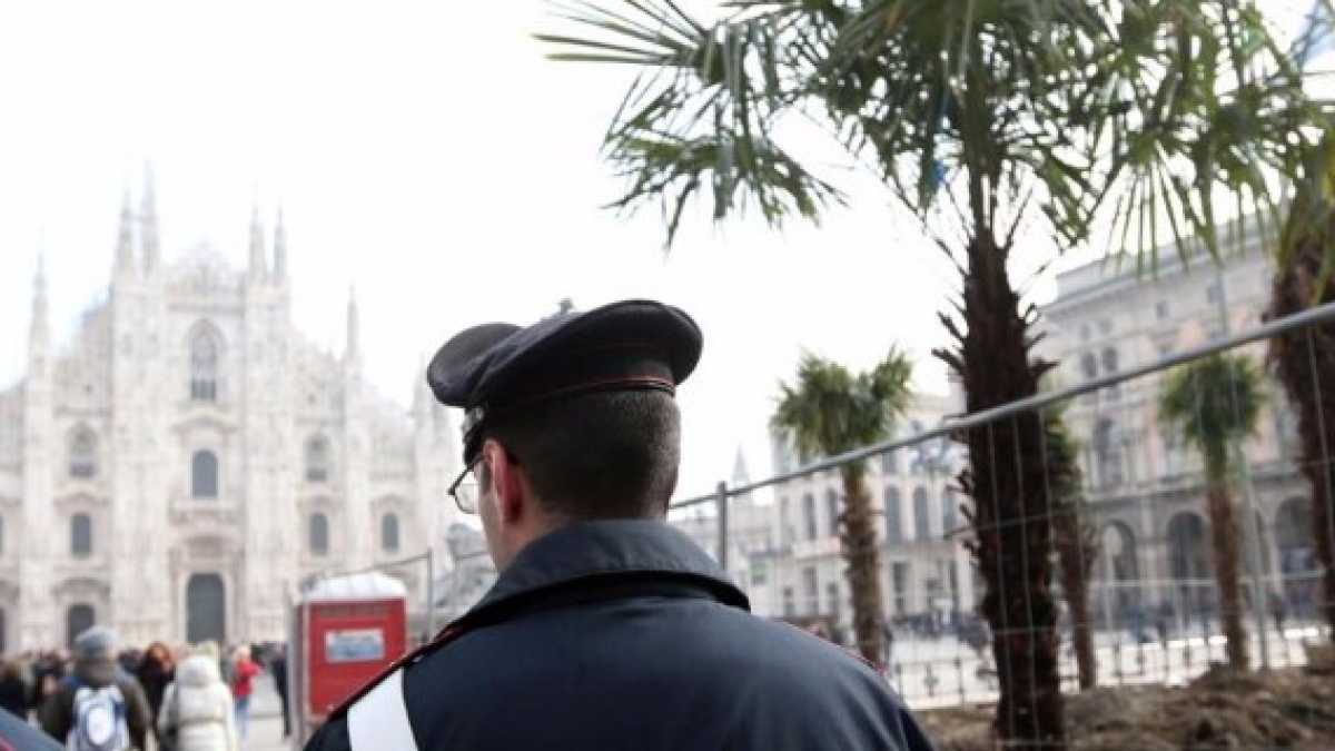 Immagine di Perché non è un vandalo chi brucia le palme in Piazza Duomo