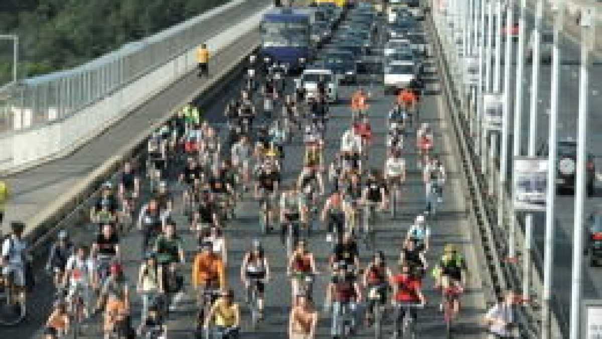 Immagine di Le parole invincibili