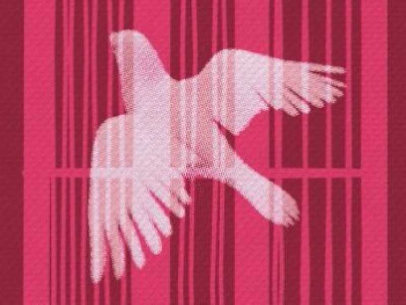 L'ospite d'onore