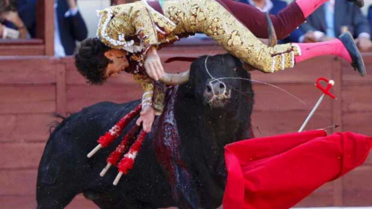 Immagine di Torero
