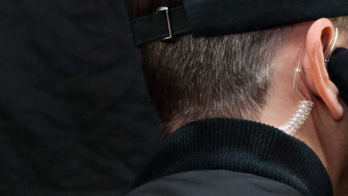 Immagine di Vogliamo l'ordine professionale dei buttafuori