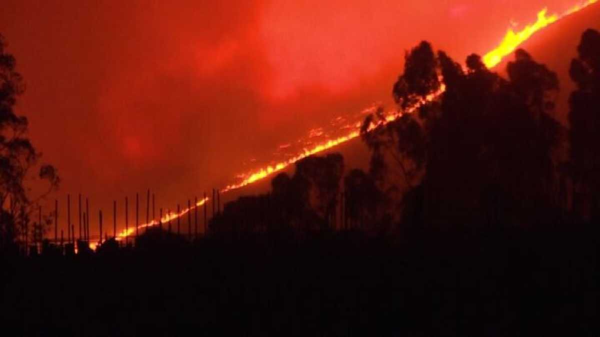 Immagine di Ecco di chi è la colpa degli incendi in Australia
