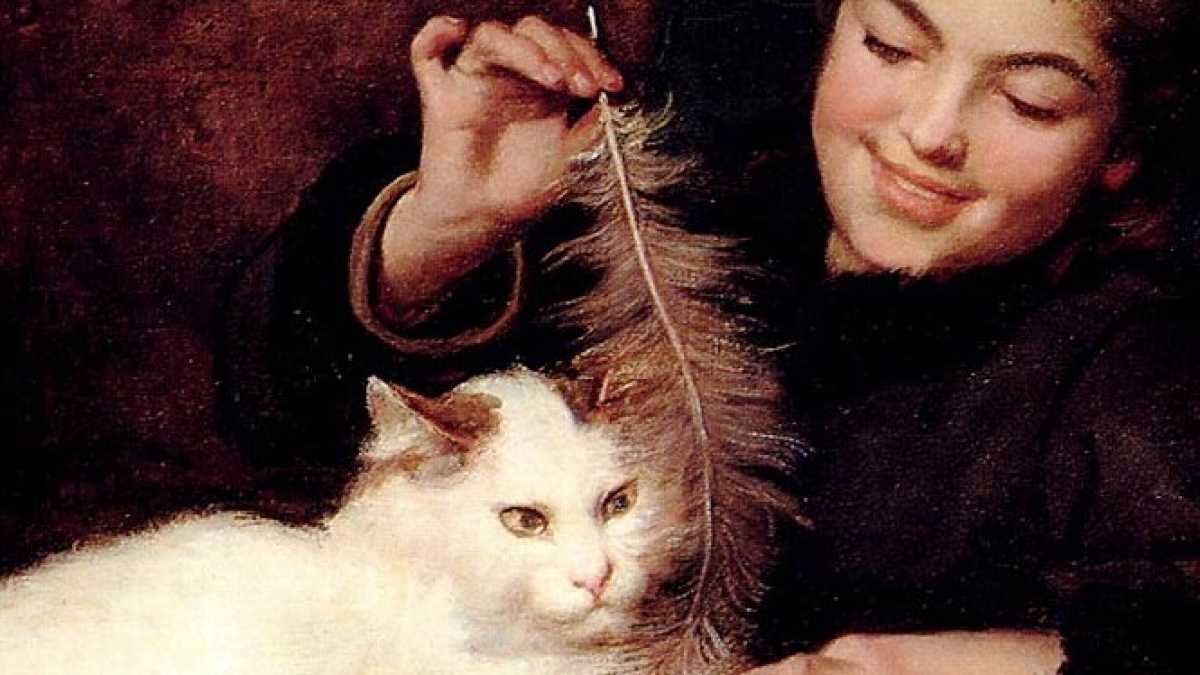 Immagine di Le fusa di carta