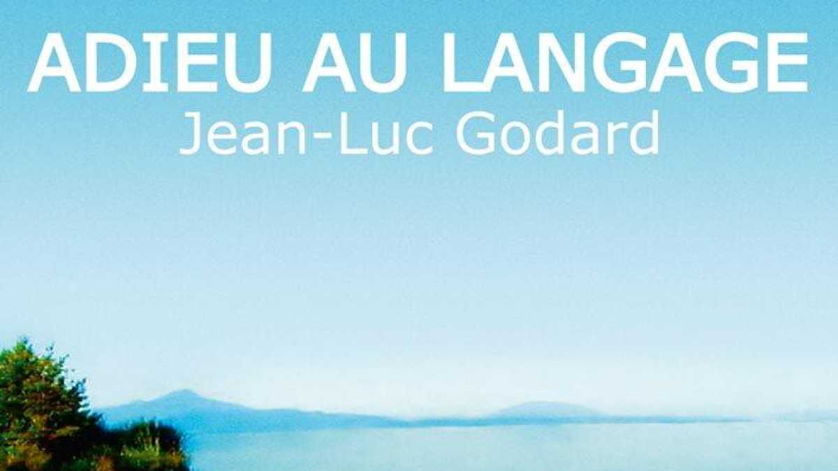 Immagine di ADIEU AU LANGAGE