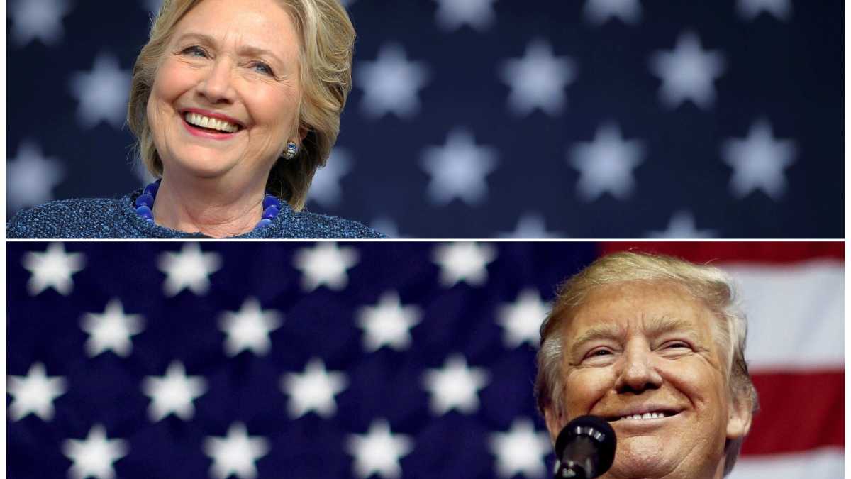 Immagine di Guida fogliante all'Election Day