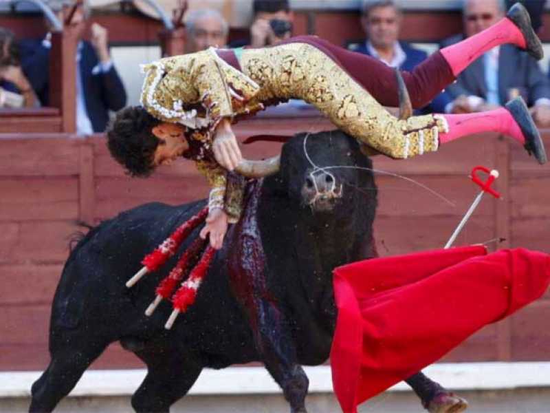 Torero