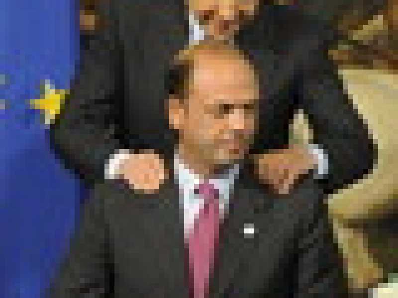 Tra il Cav. e il quid