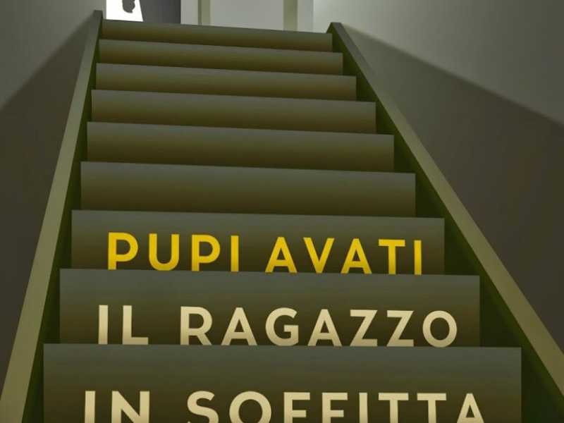Il ragazzo in soffitta