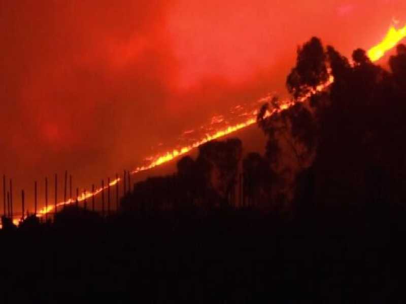 Ecco di chi è la colpa degli incendi in Australia