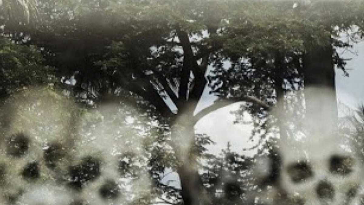 Immagine di La giallezza morale