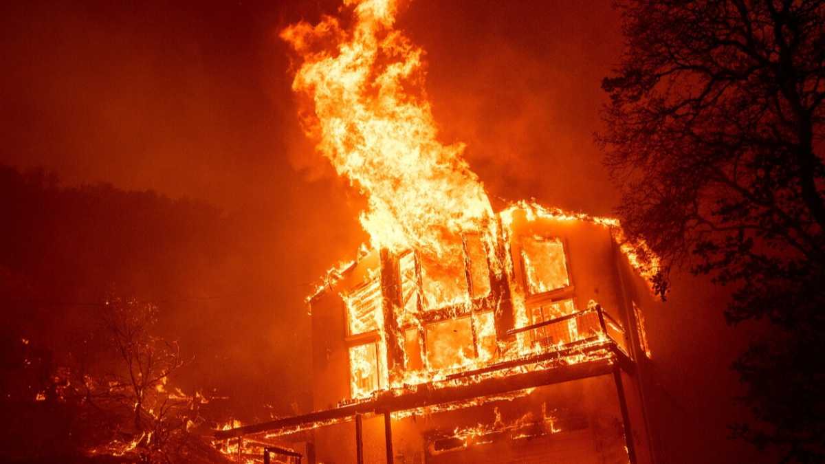 Immagine di Fuga da Silicon Valley