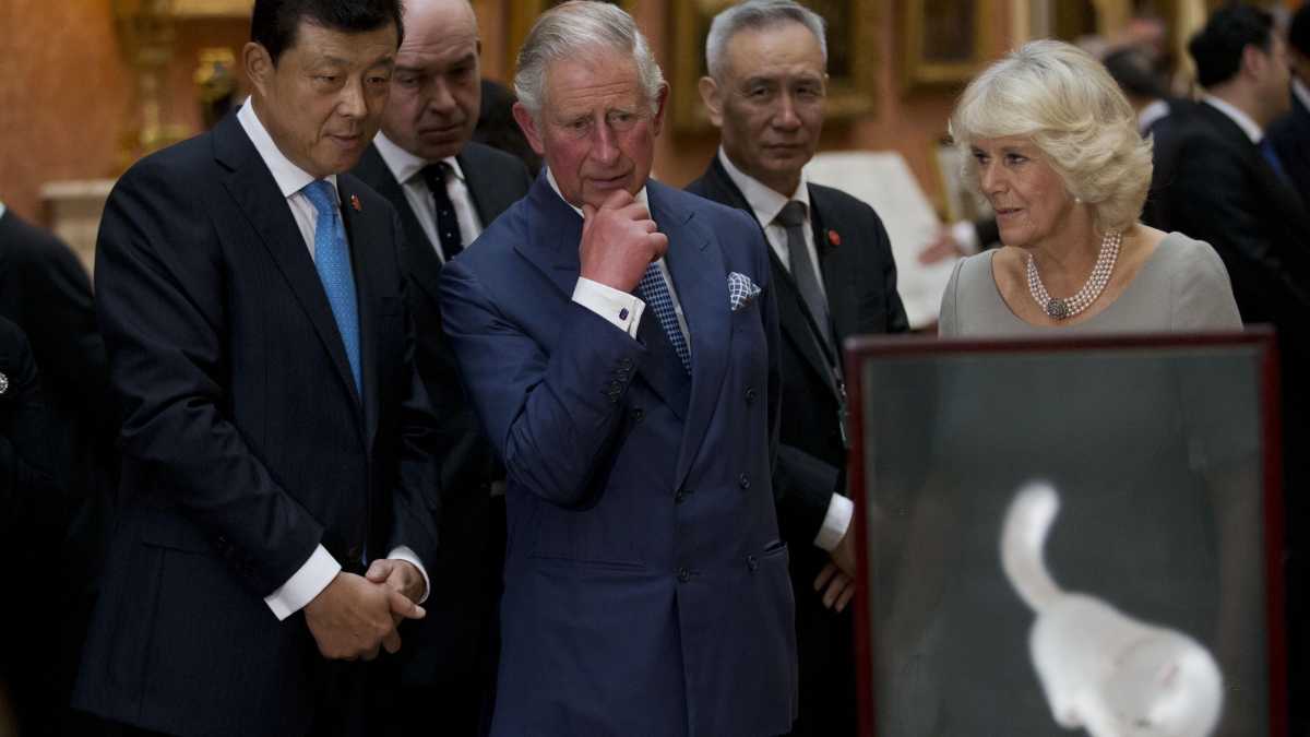 Immagine di Il Wolf Warrior che inciampa sul porno