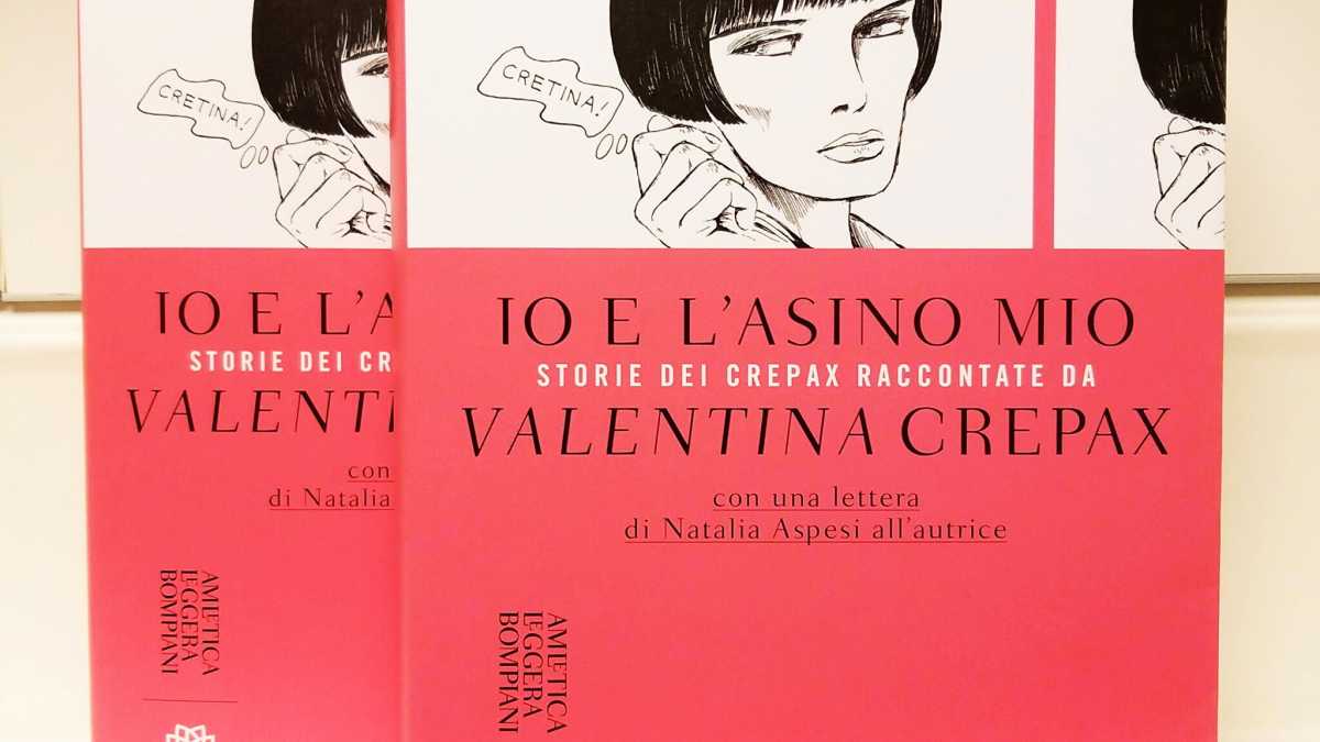 Immagine di Io e l'asino mio